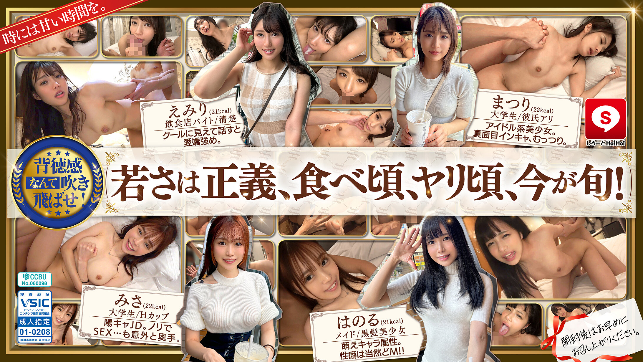 HOIZ162 约会APP约炮素人美女，爱情旅馆一夜激情偷拍全记录！Hoihoy可爱系列#14