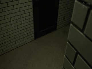 HZGD-135 欲望剥き出しで貪り愛し合った…純愛ナカダシ性交 日向恵美1