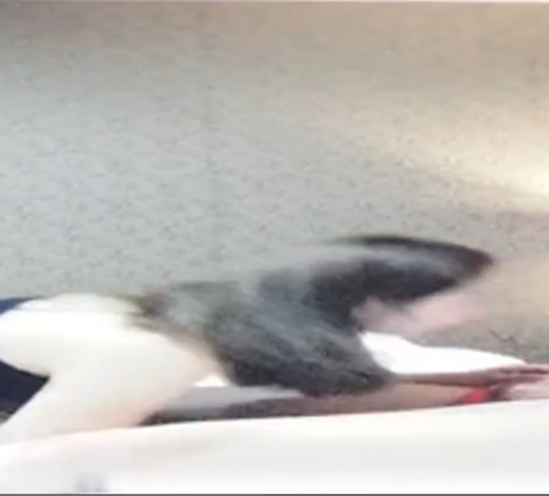 美女店主诱惑单男同事，无套抽插干到高潮浪叫