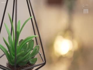 MIAA-597 完全会員制 夢のダブル美巨乳Special逆3Pソープ 結城莉乃 冨安玲於奈