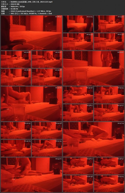 寻欢之夜_20211227