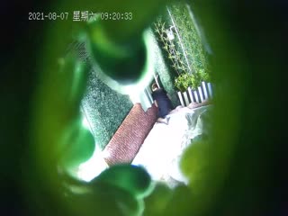 绿叶房 偷情饥渴风骚女秘书开房啪啪 急色骑上去扛腿抽插猛操 叫床太骚