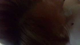 去发廊不剪发叫熟鸡来玩玩