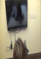 街头搭讪小麦色性感小野猫