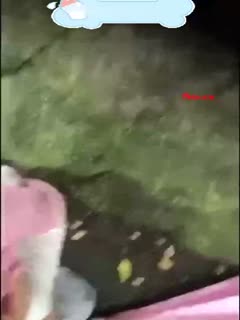 【卧槽，曝光禽兽！】小姐姐放学路上被坏人胁迫猥亵