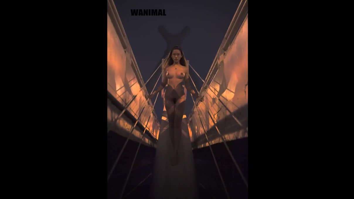 [WANIMAL王动] 2016年11月作品114P_HD