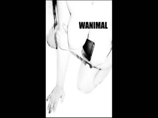 色影大师王动WANIMAL官方出品18年6月VIP视图集之冷情艳色の欲望 极度香艳超诱惑 高清私拍150P 高清1080P版