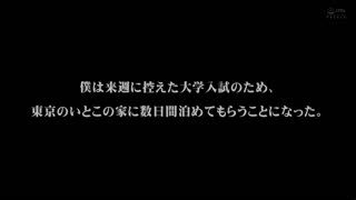 絕對剎車的小惡魔挑逗姊妹 渚光希 樞木葵 MMUS-041