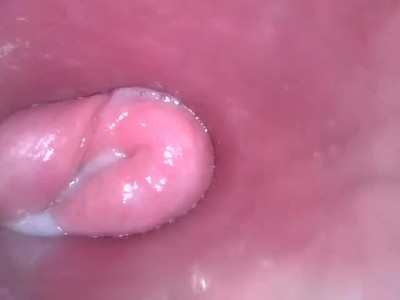 里面热湿多汁的猫咪