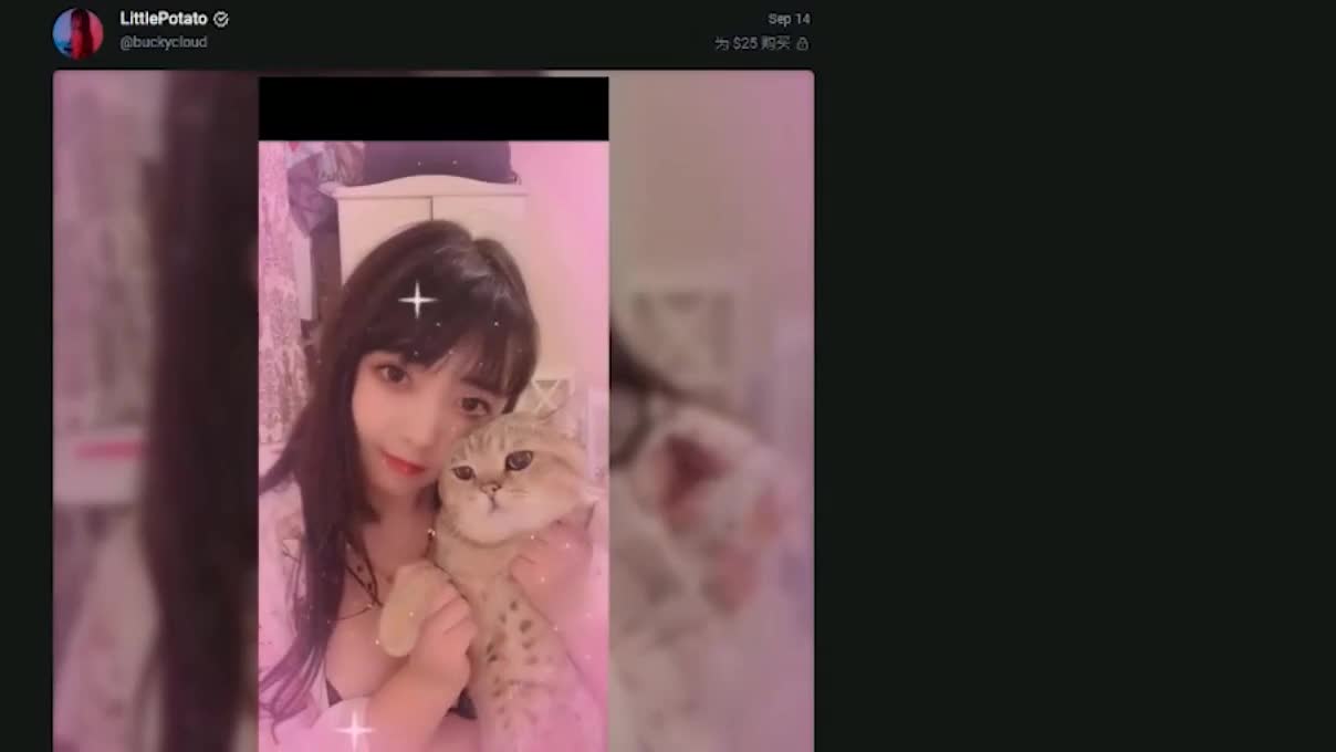 收费后 视频登出_HD