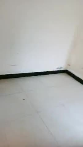 光头少女在线发骚