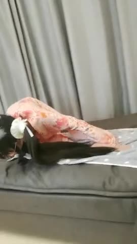 27 專 屬 小 女 友 00後 雙 馬 尾 蘿 莉 ，