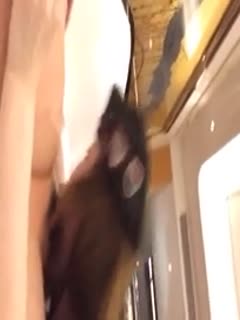 甜心服务大鸡巴我的甜心一晚干一次要真是贵但是嫩逼大奶都很粉嫩也是很值得