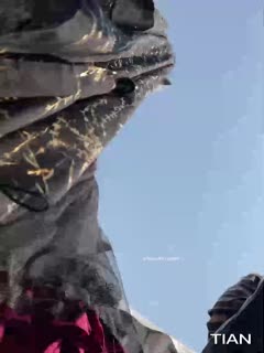 @20209692119 用户上传：街拍抄底系列二