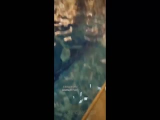 天堂系列 天堂系列原创正版-素人约啪第三季：度假胜地搭讪173女神