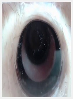从里面看着我