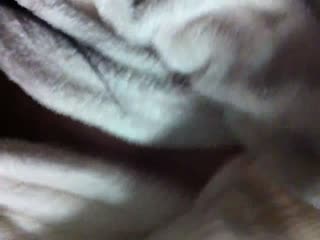 喜欢操逼过程的大学美女假期特意约男友宾馆体验刺激饱满肥厚的鲍鱼真干净啪啪时还商量怎么操爽