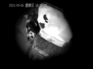 监控流出，正对头顶的偷拍胖胖的女孩偷情