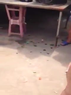 这个灵堂前蹦迪，死去的人也想复活吧