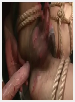 男同捆绑