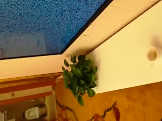 高档公寓物业帮美女业主修电视时揩油却意外发现镂空黑丝内裤.高清无水印