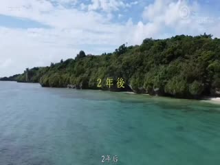 ABW-257 【仅限7月14日前购买的人将获得成人漫画【因为我嫂子的子宫在哭（1）-（2）】！ 】因为嫂子的子宫在哭，中出 α11发射！ ！ -真人版-流行的3DCG漫画标题终於真人版了！松冈铃 - 松冈すず