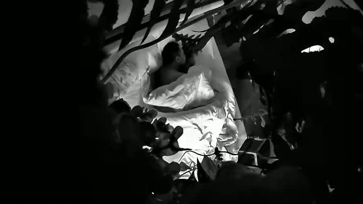 【酒店摄像头 甄选】绝版绿植房 久未见面的情侣不停做爱释放爱的种子 连操好几炮 不停高潮内射 高清720P版