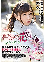 DFE-031-高嶺の花  一條みお