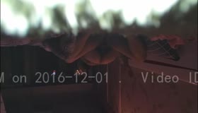 【原创】偷情绿帽熟女